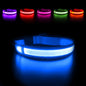 LED Dog Collar Luminous Pet Supplies Dog Collar Waterpoof Safety Glow Necklace Flashing Lighting up Collars Accessories