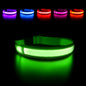 LED Dog Collar Luminous Pet Supplies Dog Collar Waterpoof Safety Glow Necklace Flashing Lighting up Collars Accessories