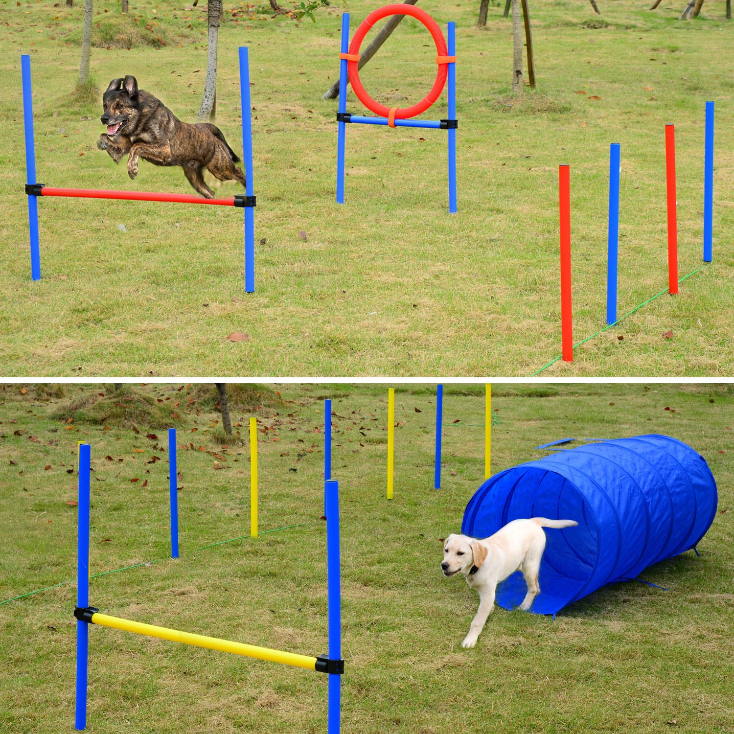 Pawhut Hund Agility Tunnel Slalom Übung Hundesport Training Hürde Set 2 Modelle