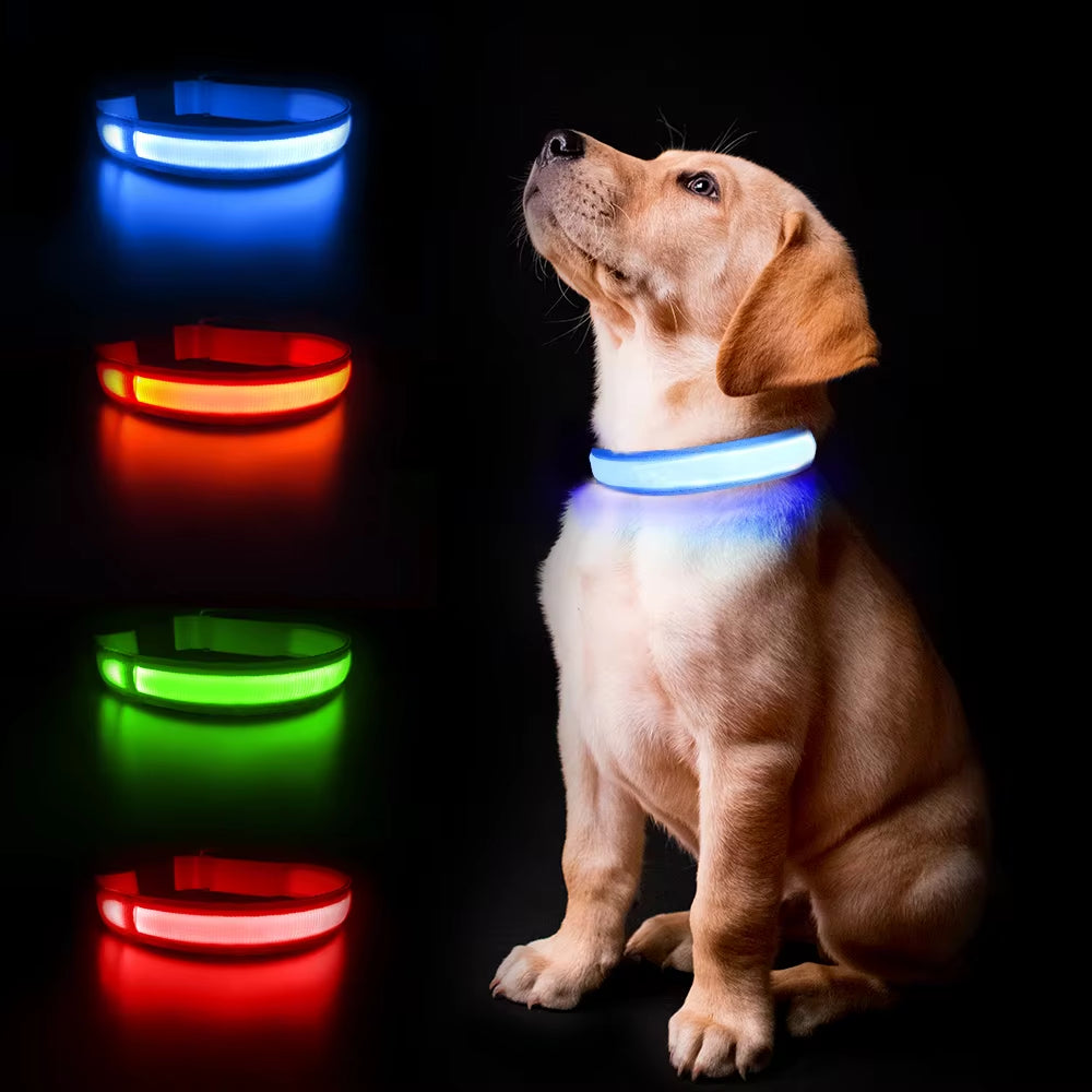 LED Dog Collar Luminous Pet Supplies Dog Collar Waterpoof Safety Glow Necklace Flashing Lighting up Collars Accessories