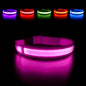 LED Dog Collar Luminous Pet Supplies Dog Collar Waterpoof Safety Glow Necklace Flashing Lighting up Collars Accessories