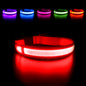 LED Dog Collar Luminous Pet Supplies Dog Collar Waterpoof Safety Glow Necklace Flashing Lighting up Collars Accessories