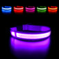 LED Dog Collar Luminous Pet Supplies Dog Collar Waterpoof Safety Glow Necklace Flashing Lighting up Collars Accessories