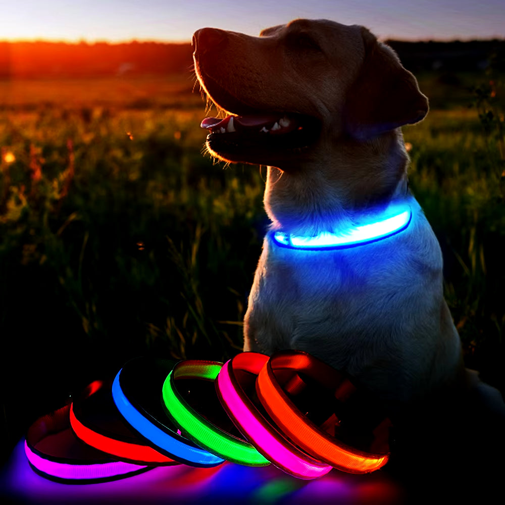 LED Dog Collar Luminous Pet Supplies Dog Collar Waterpoof Safety Glow Necklace Flashing Lighting up Collars Accessories